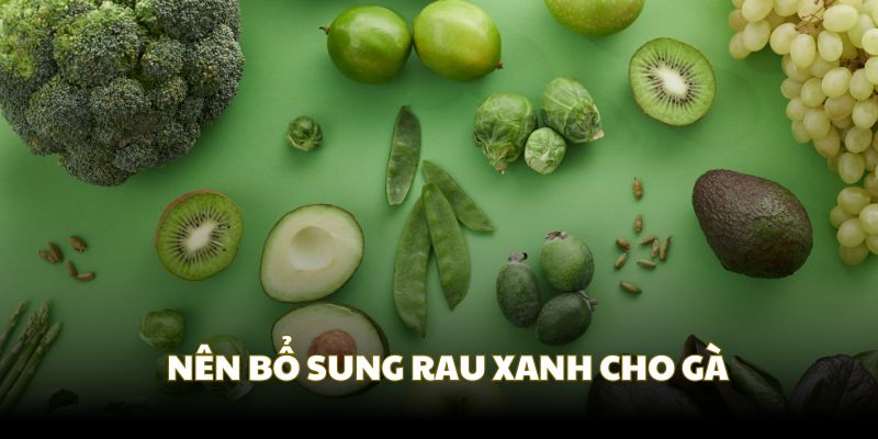 Bạn cần phải bổ sung rau xanh trong cách nuôi gà